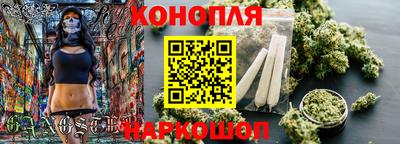 крисы Будённовск