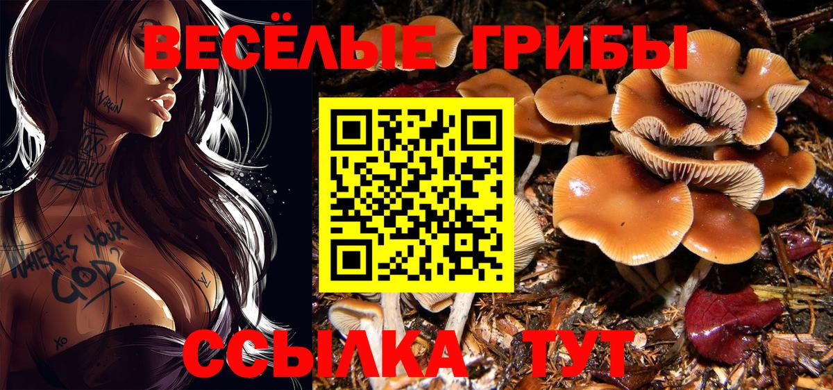 Псилоцибиновые грибы Magic Shrooms Узловая