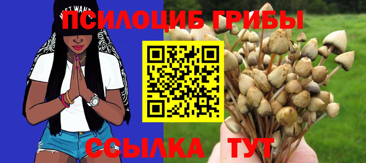 Узловая  Галлюциногенные грибы мицелий  Вход с VPN  Галлюциногенные грибы MAGIC MUSHROOMS 